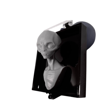 3D Printed Grey Aliien Specimen Replica Statuettes - Collectible - Xylostar