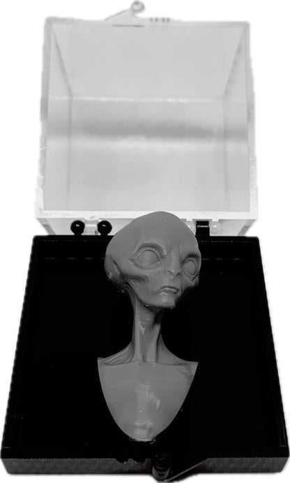 3D Printed Grey Aliien Specimen Replica Statuettes - Collectible - Xylostar